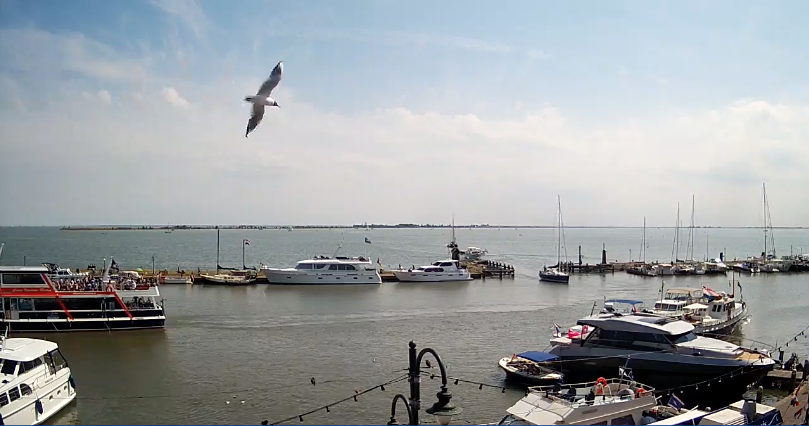 Live webcam haven Volendam